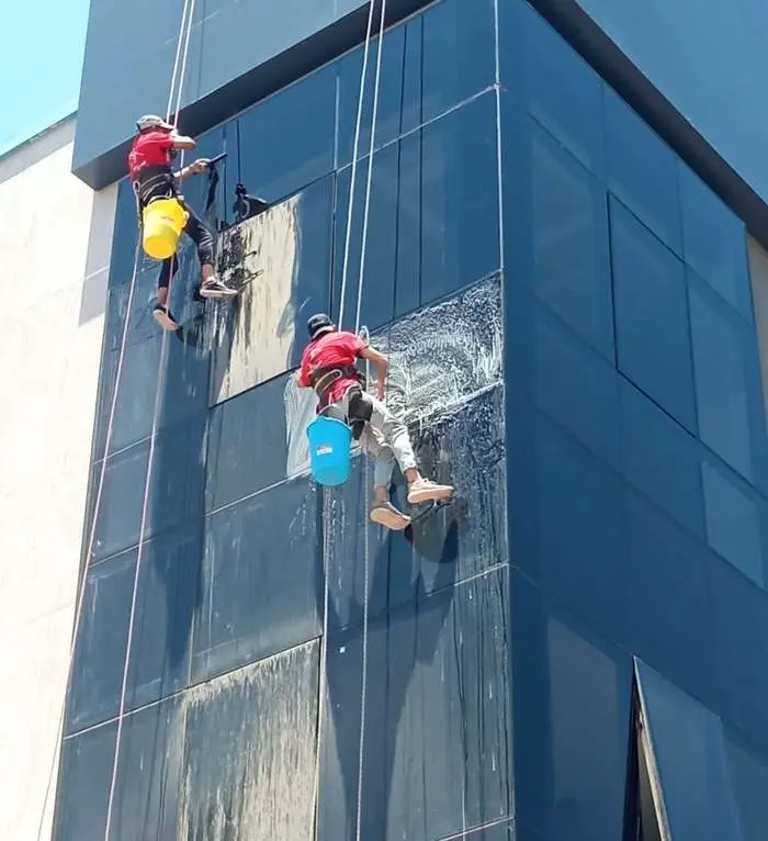 Professional glass facade cleaning team